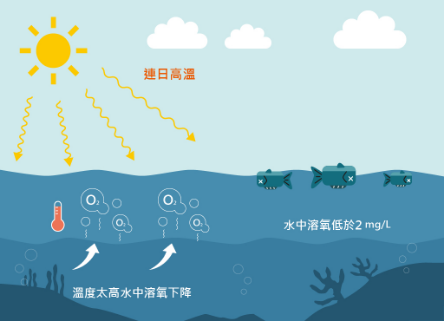 水質科普